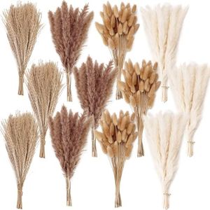 300 PCS Dr