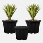 YUCCABE ITALIA SHERA Crown 12 INCH Planter Pack of 3 Nursery pots Set Plastic Planter for Plants Nursery Seedling Germination pots Flower Pots for Balcony (Black)