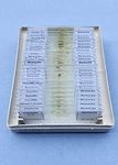 AIM Entomological Slides Set - 1 - (set of 25 slides)