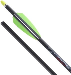 TenPoint P