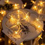 KINGCOO Dragonfly String Lights, 3M 20Led Warm White Dragonfly Copper Wire Fairy Decorative Lights Battery Powered for Bedroom Summer Garden Landscape Wedding Party Christmas Lighting Decoration