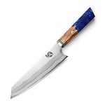 MITSUMOTO SAKARI 8 inch Japanese Kiritsuke Chef Knife, Hand Forged 67 Layers 440C Damascus Steel Kitchen Knives, Professional Meat Sushi Chef's Knife (Blue Pomegranate Handle & Wooden Box)