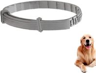 Flea Collar for Dogs 8 Months Natural Flea and Tick Collar Dog Protection – Adjustable Dog Flea Collar for Small, Medium, Large Puppy – Effective & Waterproof Lice, Tick and Larvae Repellent for Dogs