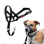 HALTI Headcollar - To Stop Your Dog Pulling on the Leash. Adjustable, Reflective and Lightweight, with Padded Nose Band. Dog Training Anti-Pull Collar for Small Dogs (Size 1, Black)