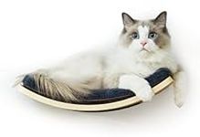 LIORCE Cat Shelf with Comfortable C