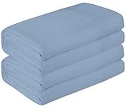 Royale Linen 2 Pack Bulk Flat Sheet Set - Top Sheet - Soft 1800 Microfiber - Wrinkle & Stain Resistant - for Hotel, Massage Table, Hospital, Dorm - Queen Flat Sheet Sold Separately (Queen, Lake Blue)