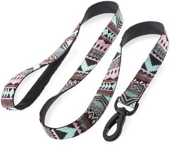Embark Urban Dog Leashes - Colorful, Strong and Sturdy Dog Leash for Small, Medium and Large Breed Dogs (Aztec, 4 Ft)