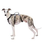 Dog Full Body Harness