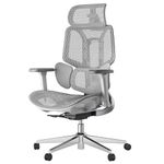 Hbada E3 Ergonomic Office Chair with Dynamic Lumbar Support, 3D Adjustable Headrest for Home Office Chair, 3D Adjustable Armrests Desk Chair, Swivel Big and Tall Computer Chair, Gray