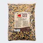 Bird Food Seed Feed Mix For Small Wild Garden Birds 1.8kg - SeedzBox Deluxe Grain & Nut Blend - Natural Food For Robins Blackbirds Sparrows - Millet Peanut Fats and Fibres