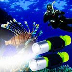 BlueFire 1200 Lumen Professional Diving Flashlight IPX-8 Waterproof LED Submarine Light Scuba Safety Lights Underwater Flashlight for Outdoor Underwater Sports (2 Pack)