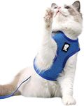 Dotoner Cat Outdoor Walking Harness