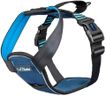CarSafe Crash Tested Dog Safety Harness - Crash Tested to 32Kg/70lbs, Safely Secure Dog in The Car, Comfortable and Padded Design. for Toy, Small, Medium and Large Dogs (Size Small)