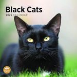 2025 Black Cats Monthly Wall Calendar by Bright Day, 12 x 12 Inch Cute Cat Breed Gift