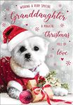 Piccadilly Greetings Cute (Photo) Christmas Card Granddaughter - 7 x 5 inches