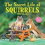 The Secret Life of Squirrels Wall C