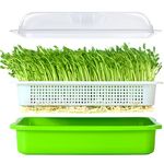 Seed Sprouter Tray BPA Free PP Soil-Free Big Capacity Healthy Wheatgrass Grower with Lid Sprouting Kit 13.4x9.84x4.72 inches(LxWxH)