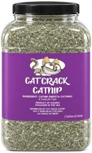 Cat Crack
