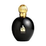 Lanvin Arpege Eau De Parfum Spray 3.Oz/ 100 Ml for Women By 0.73 Pounds