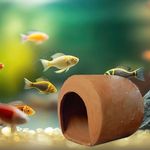 JAINSONS PET PRODUCTS Fish Tank Decoration Earthenware Hut Ornament for Fish Tank Landscape Aquarium Hideout Hideaway Spawning Cave Decor for Shrimp Betta Goldfish and Reptiles