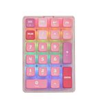 EPOMAKER x LEOBOG K21 21-Keys Wireless Numeric Keypad, 3 Modes(Bluetooth5.0/2.4Ghz/Type-C Wired) PC Transparent Numpad with Pudding Keycaps, Hot Swappable, RGB (Pink Bunny, Ice Crystal Switch)