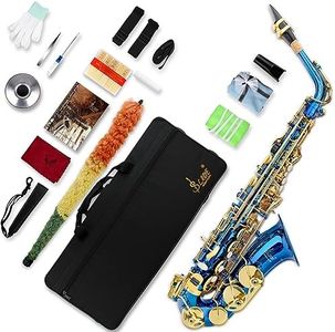 SLADE Saxophone Eb Alto Saxophone for Beginner Students, Saxaphone Adult, Saxophone Alto, Beginner Saxophone, Alto Saxaphone, Saxofon Alto, Saxophone, Blue