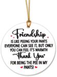 Funny Best Friends Gifts for Women Gag Bff Friendship Gifts for Girls Appreciation Thank You Gifts for Friends Decorations for Friendsgiving Home Office Bestie Tree Ornament Friend Birthday Gift Ideas