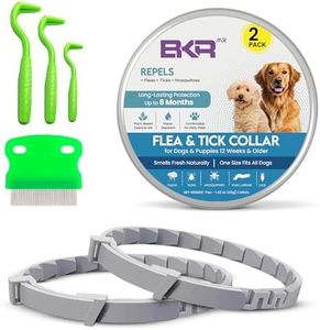 BKRMART Dog Flea and Tick Collar (2 Pack) – Natural Waterproof Flea Collar for Dogs & Puppies with 8 Month Protection Adjustable Dog Flea Collar Includes Tick Removal Tools & Flea Comb
