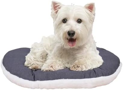 FERPLAST Panier Chien Chat - Coussin pour Chien Chat - Lavable en Machine - Tapis Chien Chat pour Niches et Voitures - Lit pour Chien Chat - Relax, 55 x 36 CM, BEIGE