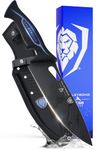 DALSTRONG Chef Knife - 8 inch - Night Shark Series - Titanium Coated Blade - Water Outdoor & Fishing - Polypropylene Handle - Ballistic Nylon Sheath - NSF Certified