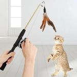 Fishing Pole For Cats