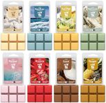 SALUBRITO Summer Scented Wax Melts,