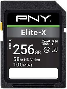 PNY 256GB 