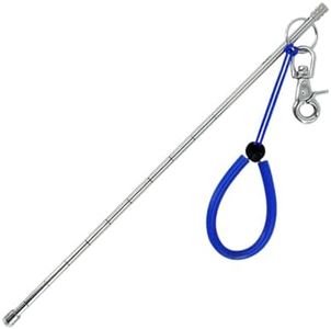 WICKED Muck Stick Pro Pointer Stick- 316 Stainless Steel Precision Forged Shaft with Threaded Camera Mount & Heavy Duty Marine Grade 360° Swivel Snap Bolt