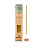 Amogha Citronella Garden Incense Sticks with Terracotta Holder,50 Sticks -for Out Door only | 16" Inch Agarbatti Sticks with 2 Hours Burning time | Purifying & Stimulating | Zero Carbon