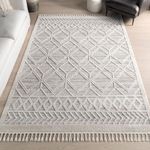 nuLOOM 3x5 Ansley Moroccan Tassel Area Rug, Light Grey, High-Low Textured Bohemian Design, Plush High Pile, Stain Resistant, For Bedroom, Living Room, Hallway, Entryway