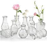 DEAYOU 10-Pack Clear Glass Bud Vases, Small Flower Vase for Centerpiece, Tiny Vases for Flowers, Mini Floral Bottle Short Vase for Decor, Tea Party, Table, Plants, Home, Wedding, Gift, Assorted Shape