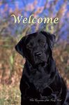 Black Labrador - Best of Breed CEFK Welcome Photo House Flag