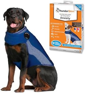 ThunderShi