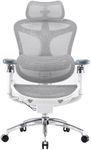 SIHOO Doro C300 Pro Ergonomic Offic