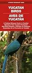 Yucatan Birds/Aves de Yucatan: A Fo