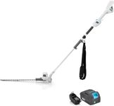 40V Cordless Pole Hedge Trimmer Long Reach 20" Cutting Length 6 Position Adjustable Head with Battery and Charger