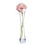 Hand-Made Blown Art Bud Glass Vase Clear Small Glass Vase Glass Flower Vase Heavy Base Single Stem Flower Drop Vase for Office Bud Home Wedding Decor (Oblique mouth)