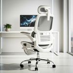 DROGO Ergonex Ergonomic Office Chair for Work from Home with Mesh, Armrest, 2D Headrest & Lumbar Support | Computer Chair for Study | Gaming Chair with Footrest & Heavy Metal Base (Grey)