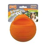 Nylabone Power Play Dog Basketball 