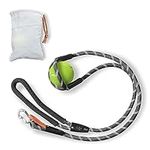 Dog Leash and Ball Launcher for Dog