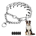 Good Dog Training Collar