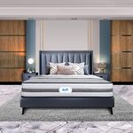 durfi Mattress I 10 Year Warranty I Original Memory Foam Orthopedic I Queen Bed Mattress, 10inch Bed Mattress, Mattress Queen Size (75x60x10 Inches, Grey & White, Original Orthopedic)