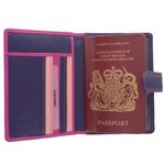 VISCONTI Rainbow Collection Leather SUMBA Passport Holder RFID Blocking RB75 Berry Multi