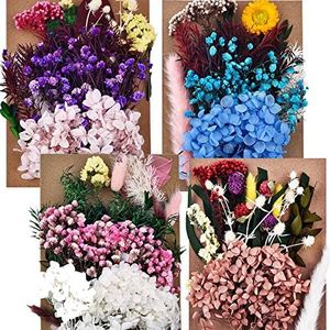 DALARAN 4 Pack Pressed Dried Flowers Multiple Colorful Pressed Flowers for Craft Resin Jewelry Making Art Craft DIY
